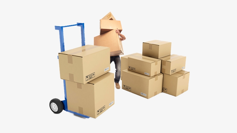 Why Choose Nirmla Logistics
